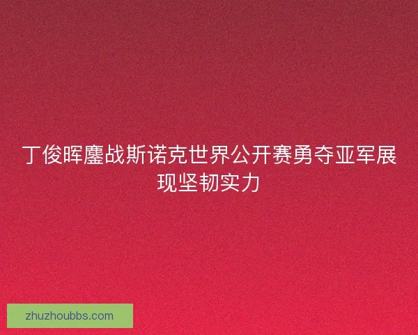 丁俊晖鏖战斯诺克世界公开赛勇夺亚军展现坚韧实力