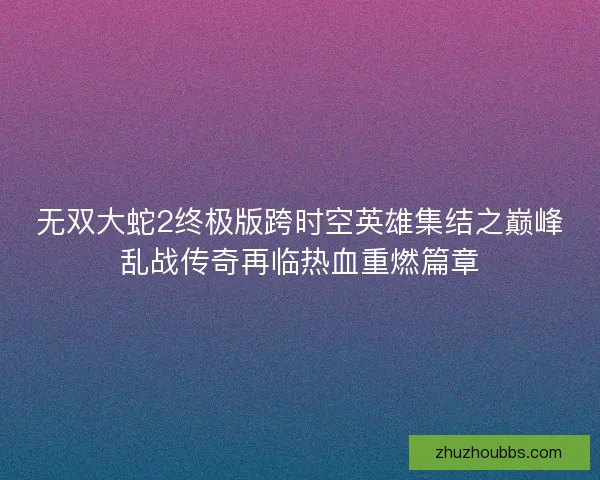 无双大蛇2终极版跨时空英雄集结之巅峰乱战传奇再临热血重燃篇章